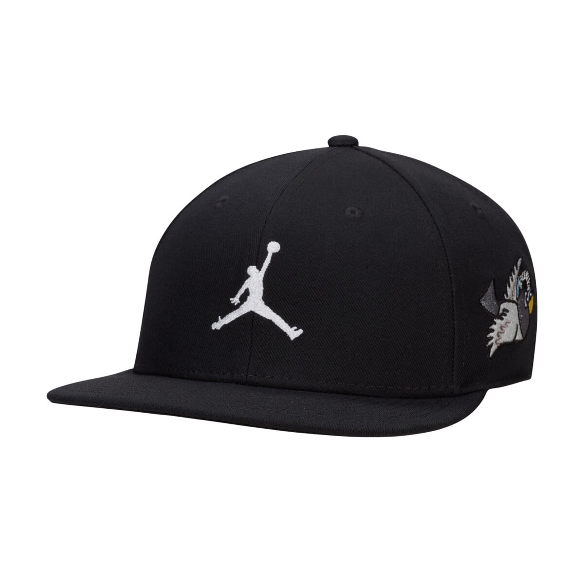 JORDAN PRO CAP ADJUSTABLE HAT | Caps and Hats | Sportland