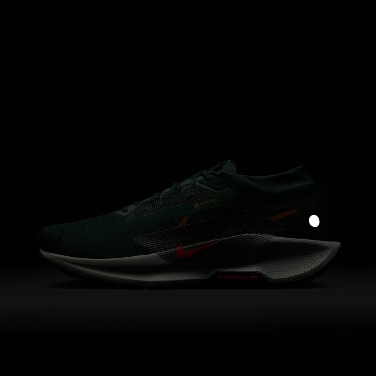 NIKE PEGASUS TRAIL 5 GORE-TEX WATERPROOF TRAIL RUNNING SHOES