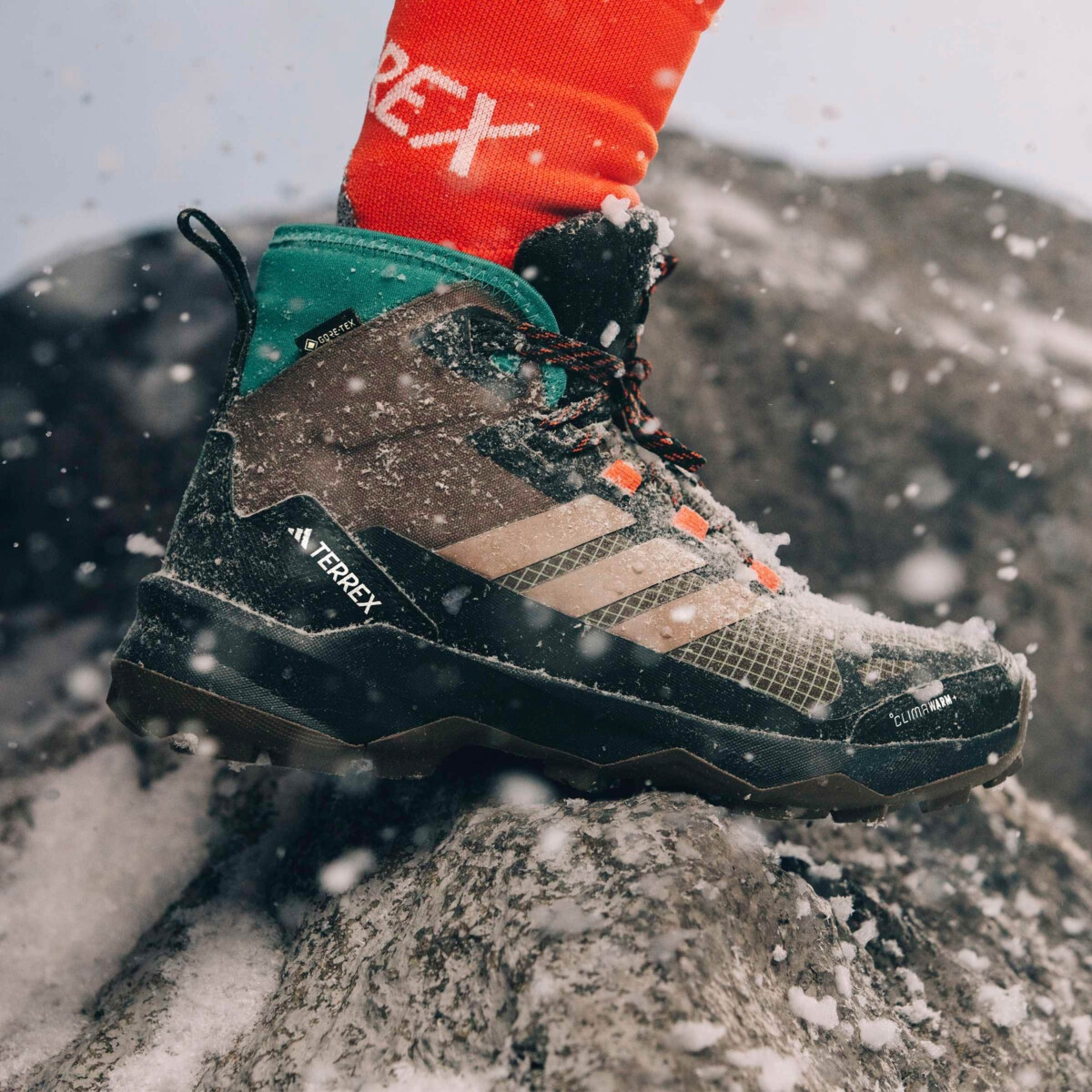 hiking boots terrex adidas winter