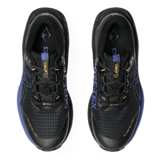 ASICS FUJISETSU MAX GORE-TEX | Running Shoes | Sportland