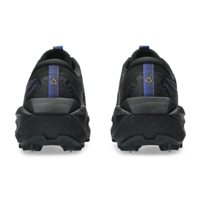 ASICS FUJISETSU MAX GORE-TEX | Running Shoes | Sportland