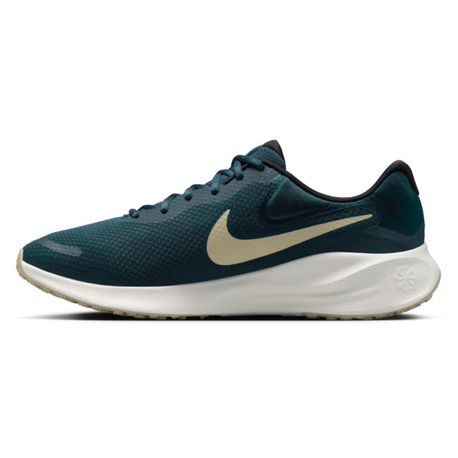 nike revolution mens shoes