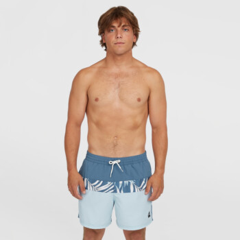 O'NEILL MEN'S CALI BLOCK 15'' SWIM SHORTS Swimwear Sportland