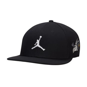 jordan pro poolside cap