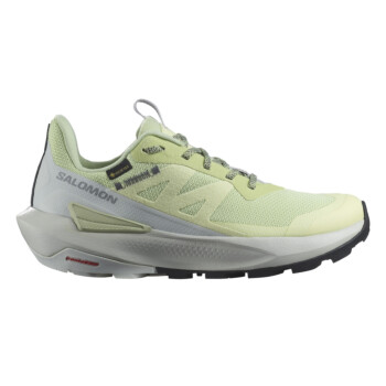 美品　限定品　salomon hps pro annie 149 S/PRO ALPHA 80 Women - All-Mountain | Salomon