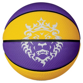 nike lebron james ball