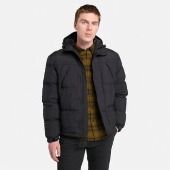 Jackets and parkas | Timberland | Brands | Buy online