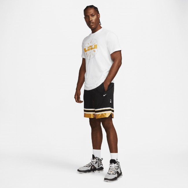 Nike Dri-FIT LeBron Men's Basketball T-Shirt