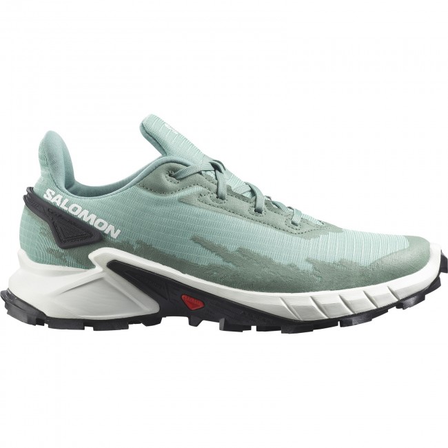 salomon acro sneaker